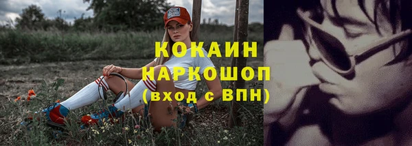 шишки Алексин
